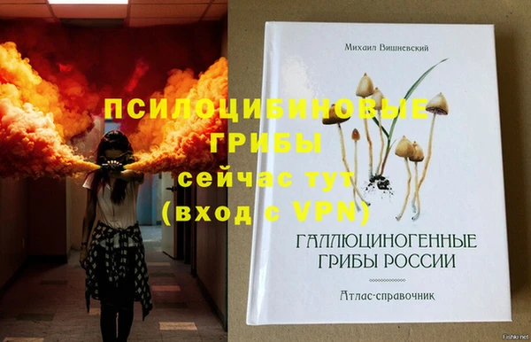 кокс Баксан