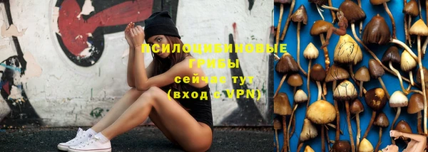 кокс Баксан