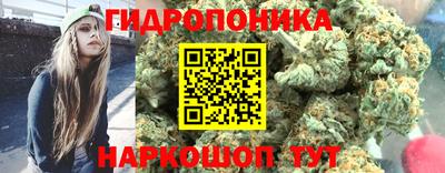 jwh Лесосибирск