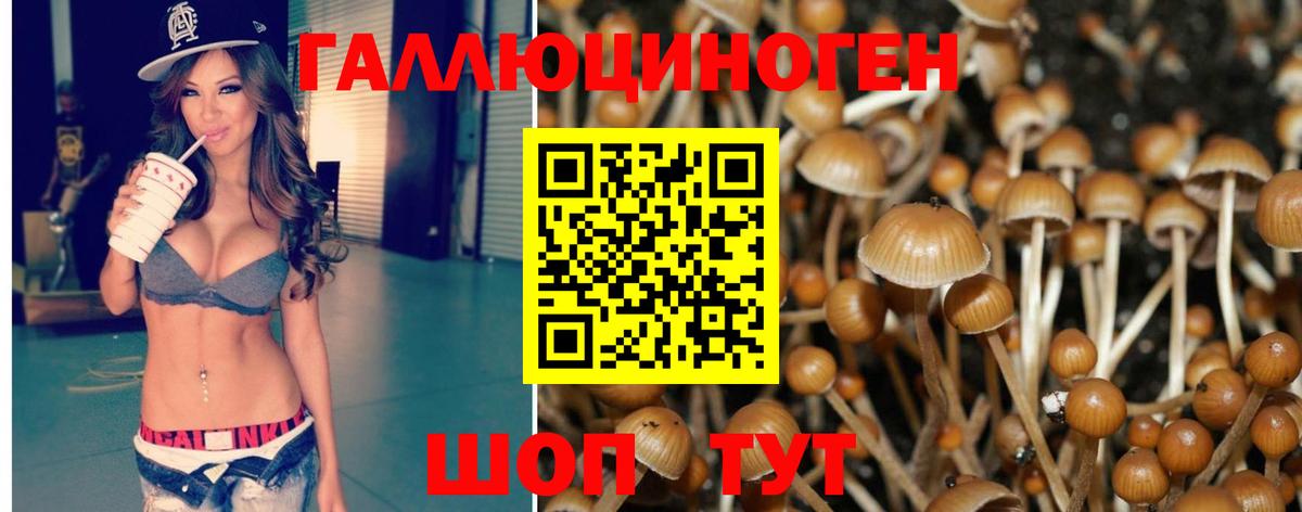 Калуга  Псилоцибиновые грибы Magic Shrooms  Вход с VPN  Псилоцибиновые грибы мицелий 