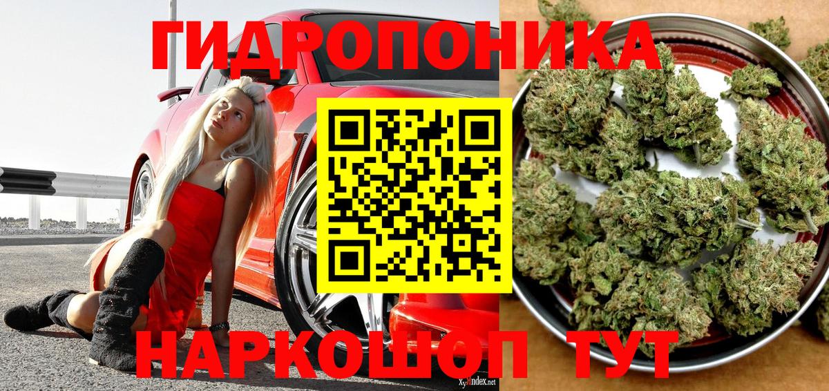 Канабис SATIVA & INDICA  Каннабис семена  Вход с VPN  Калуга 